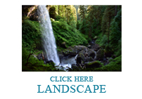 Landscape Photography
